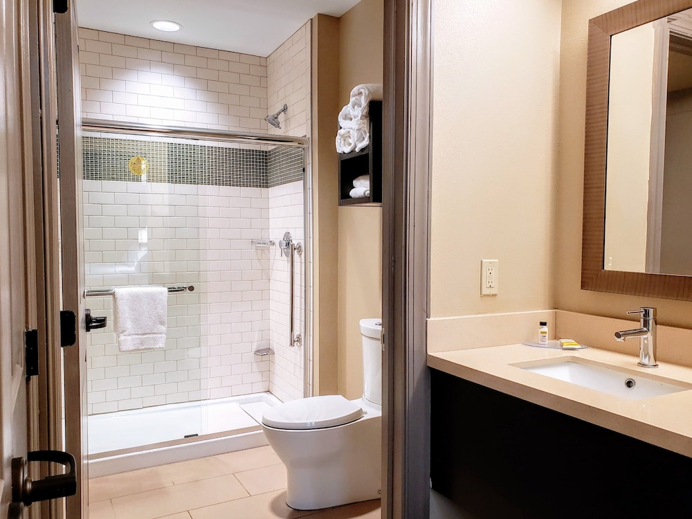 Staybridge Suites Baltimore Inner Harbor by IHG - photo 78