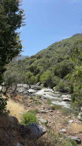 Paradise Ranch Inn Mindful Tent - photo 23