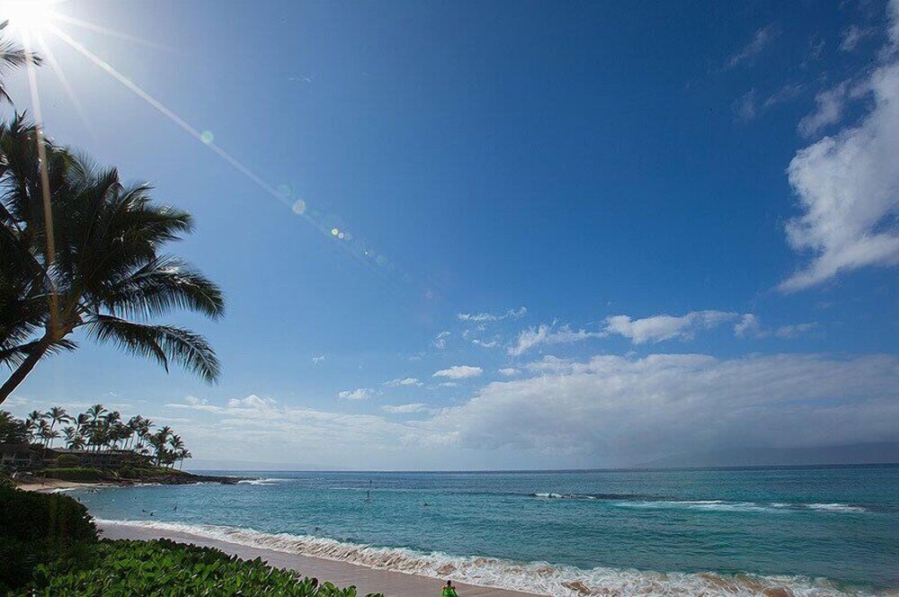 Hale Napili - photo 39