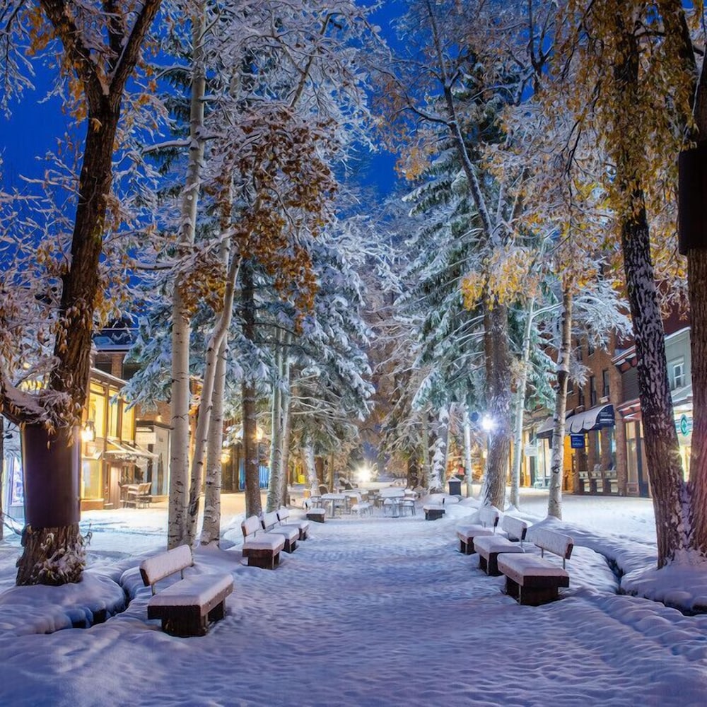 Limelight Hotel Aspen - photo 58