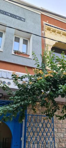 L’Hirondelle de Kelibia : Chez Amou — Kelibia — photo 4