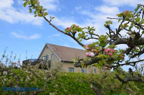 Carlssons på Vik — Simrishamn — photo 2