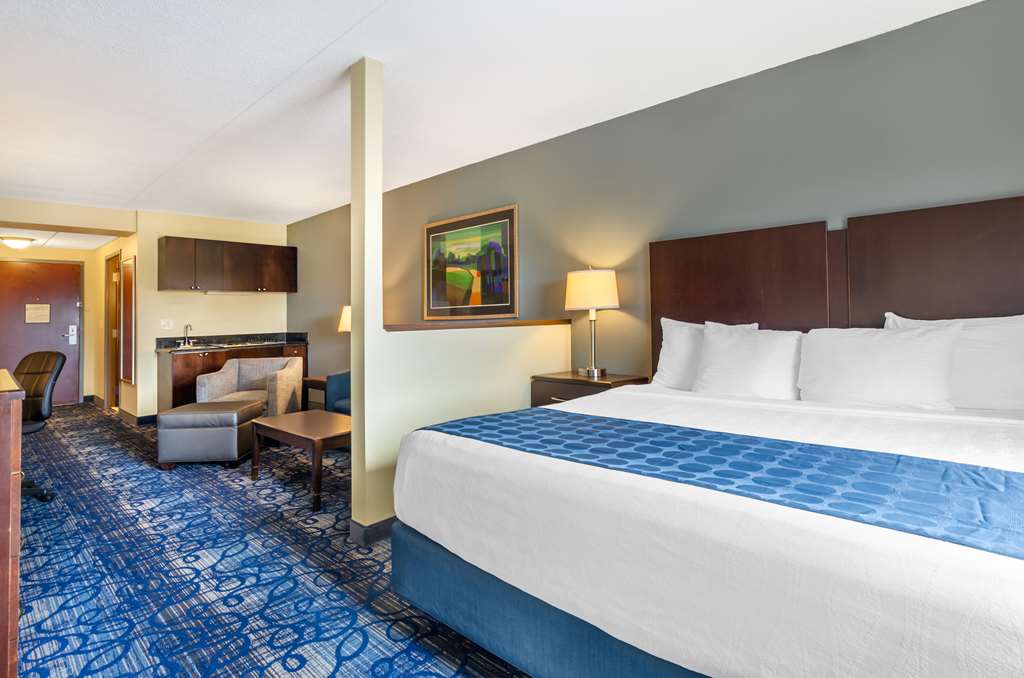 Best Western Plus Waynesboro Inn & Suites Conference Center - photo 29
