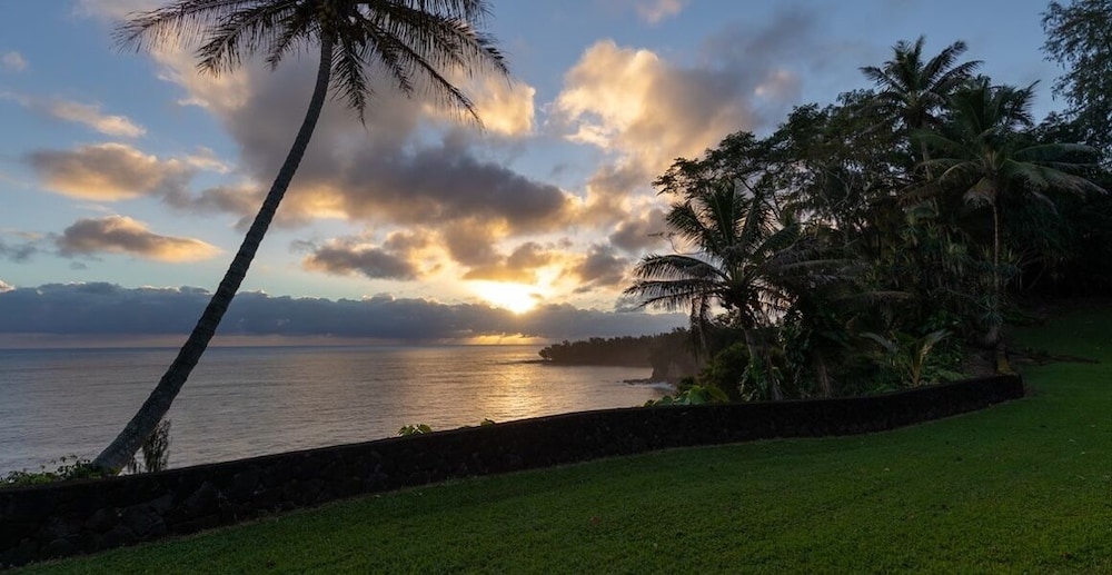 Hamakua Hotel - photo 21