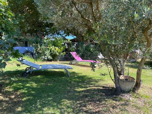 Au Petit Bonheur — L Isle Sur La Sorgue