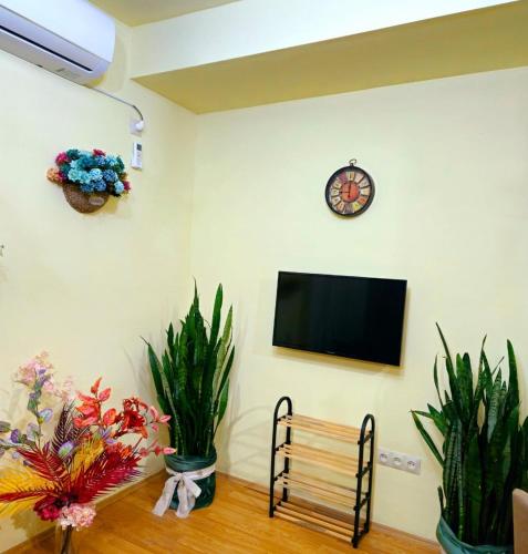 Apartment in the old district