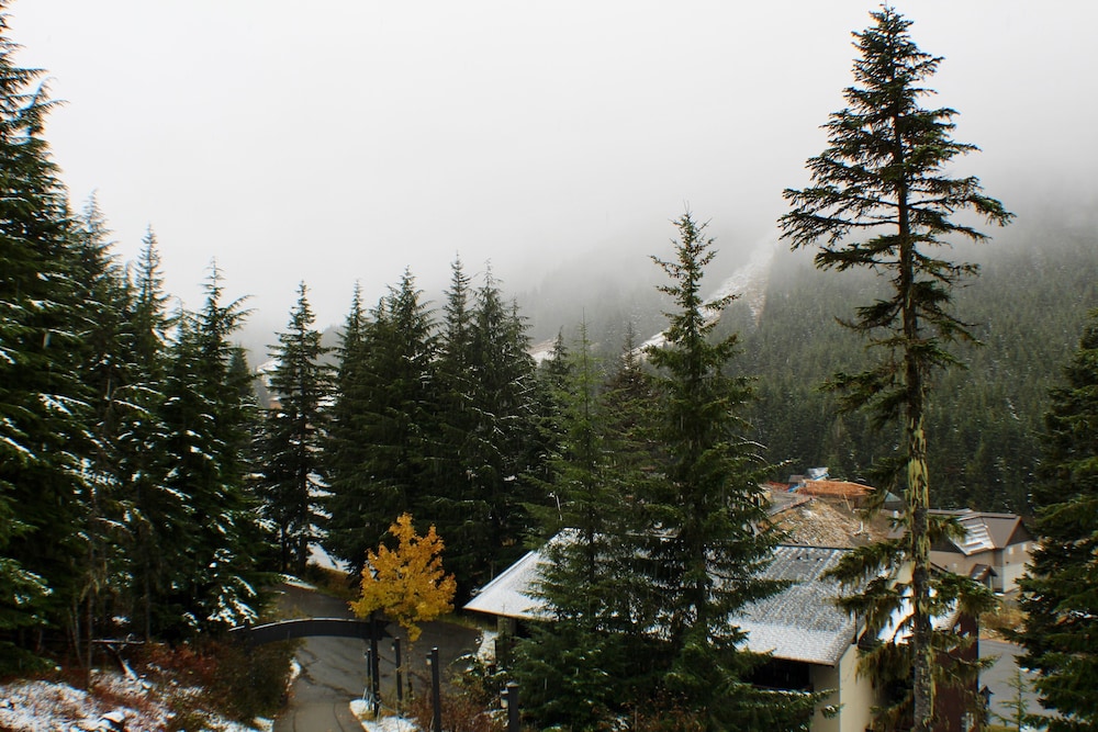 Crystal Chalets Condominiums at Crystal Mountain Ski Resort - photo 168