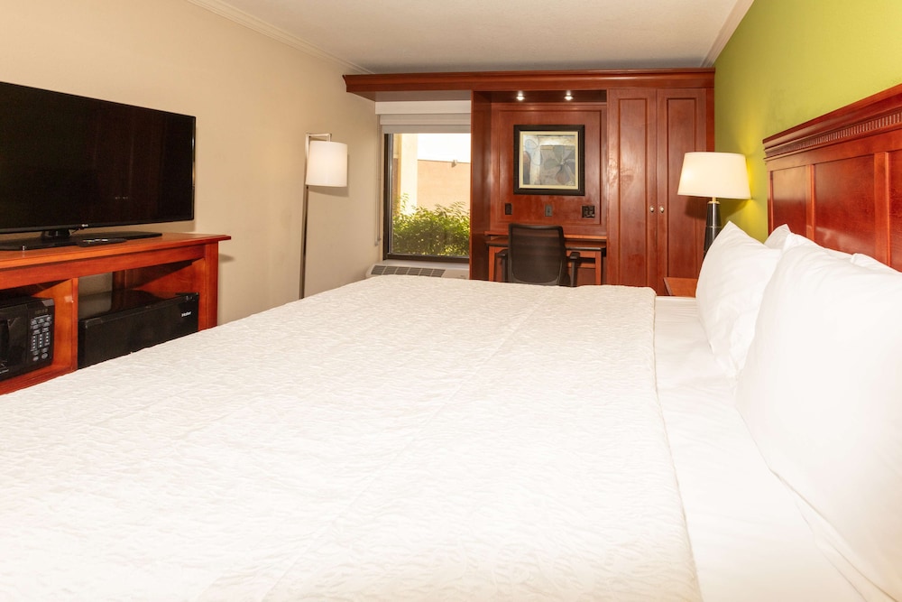Hampton Inn Daytona Speedway - photo 28