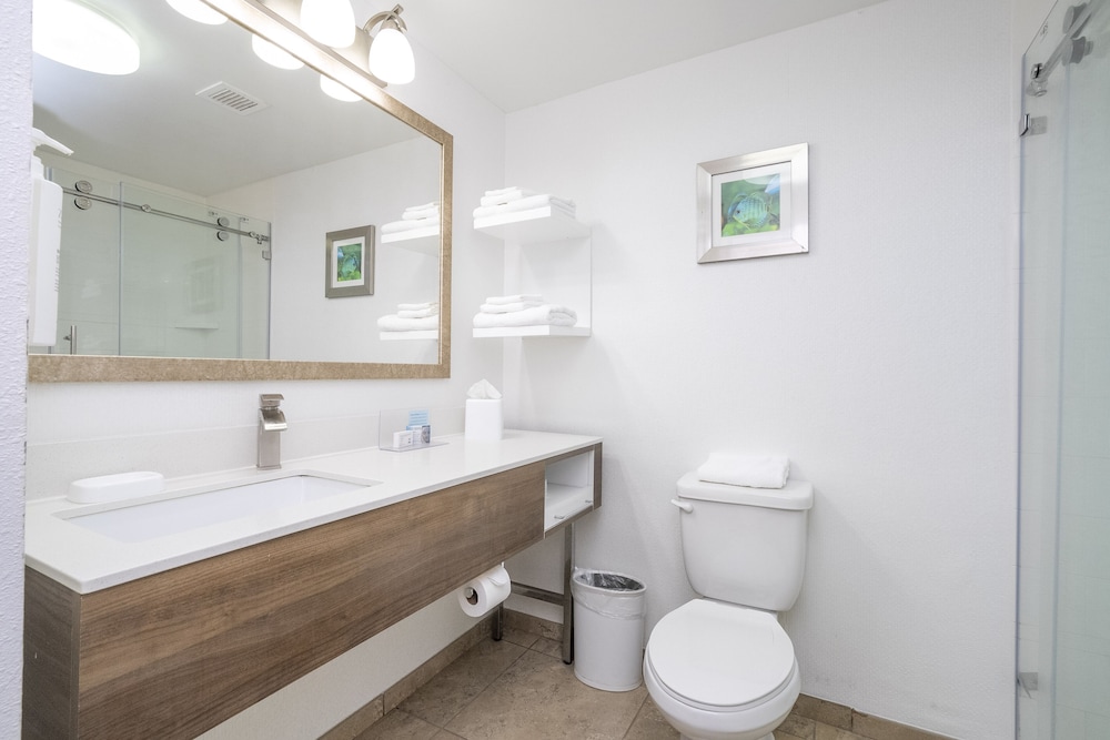 Hampton Inn Spring Hill - photo 39