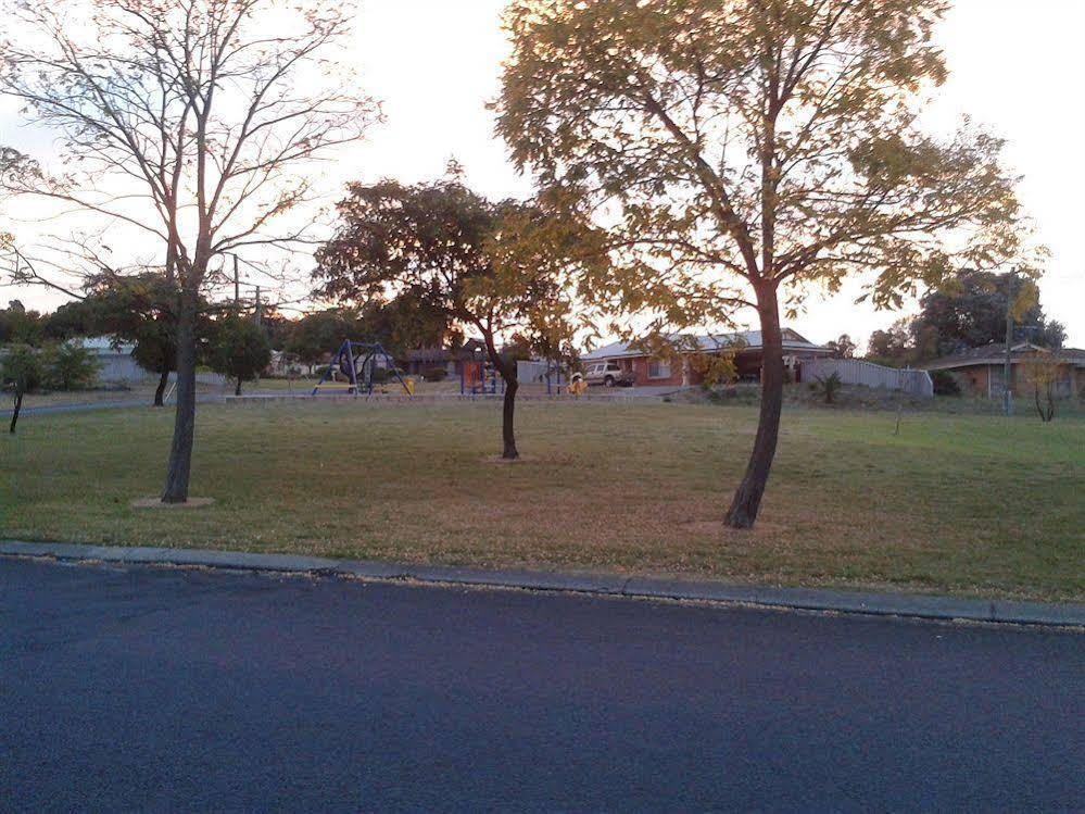 Comfort Inn & Suites Collie