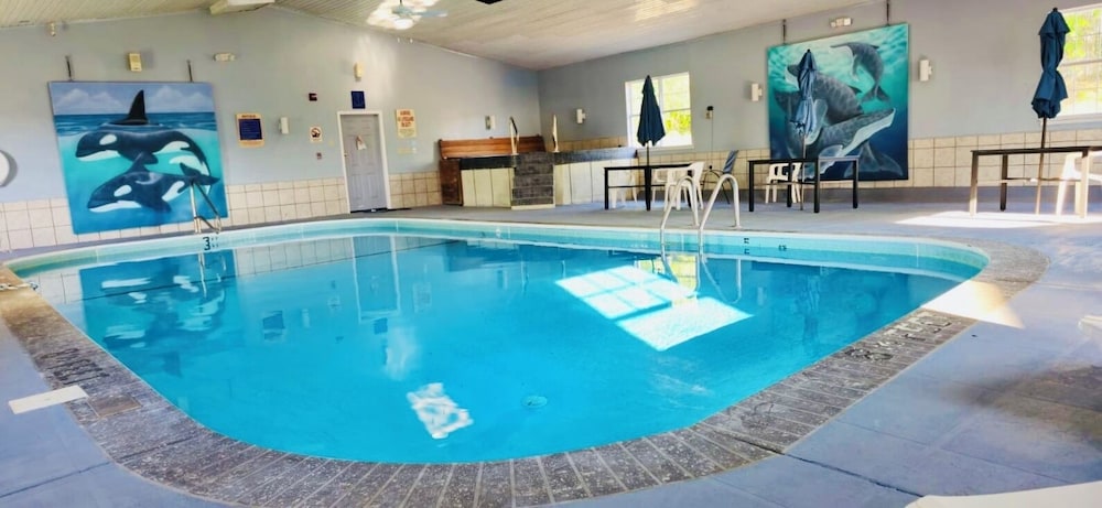 Ozark Inn & Suites - photo 12
