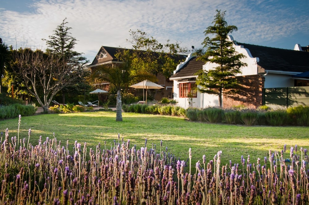 At Winkfield House — 4-Star Luxury Hotel in Cape Town, South Africa