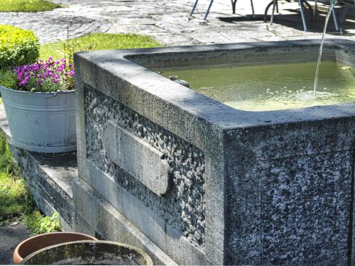 Pension Alpenheim 6884721 — Teufen