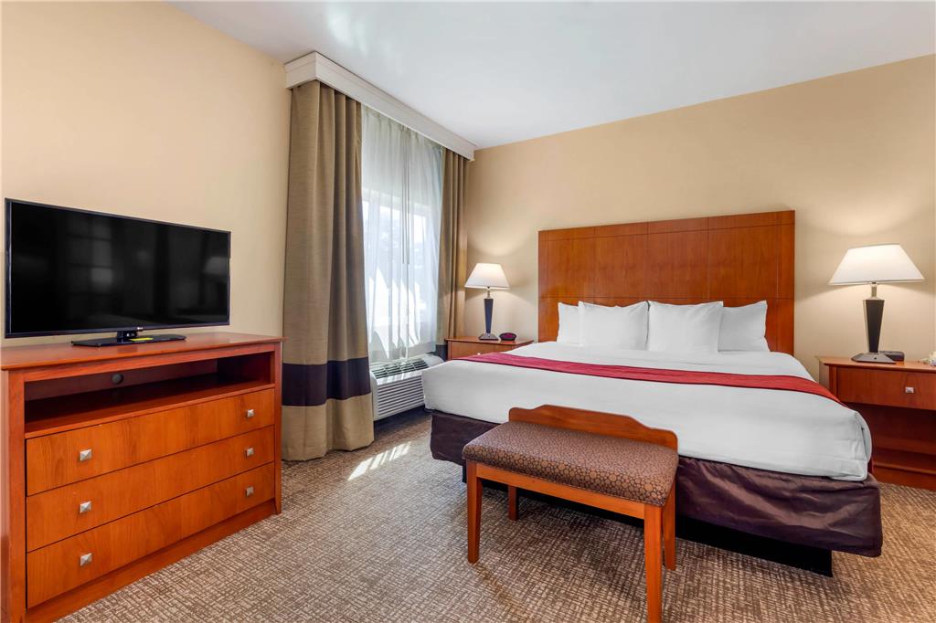 Comfort Suites North Dallas - photo 12
