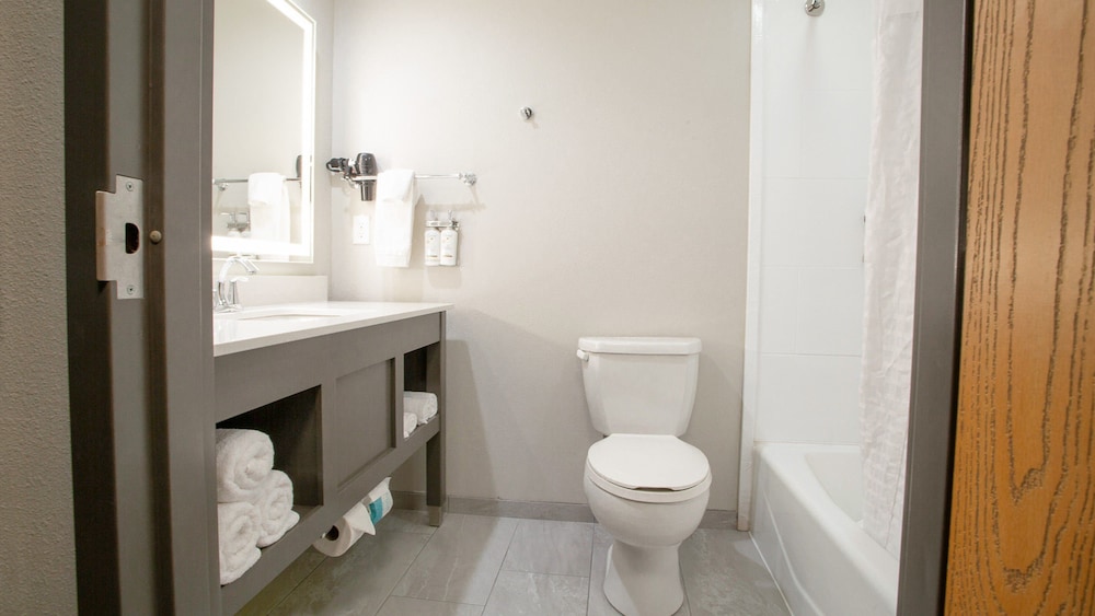 Holiday Inn Midland by IHG - photo 11
