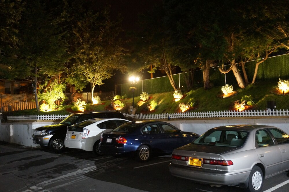 Central Motel Court Yard - photo 99
