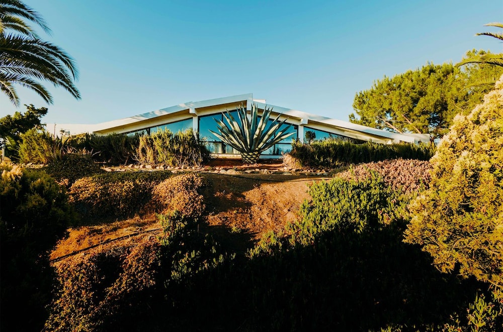 DaNik Valle in Valle De Guadalupe, Mexico