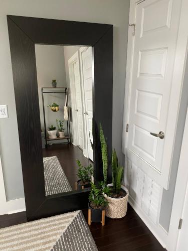 Modern Home In North central Austin - photo 29