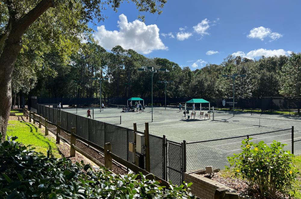 Innisbrook Resort - photo 32