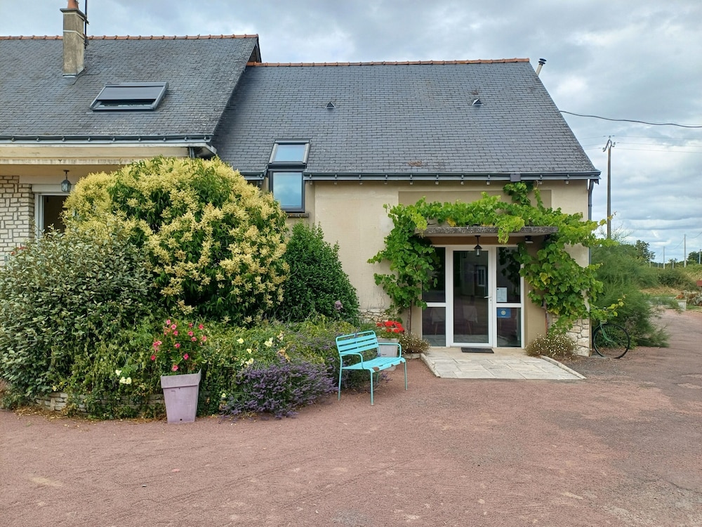 Les Bacchusiennes — Saumur — photo 2