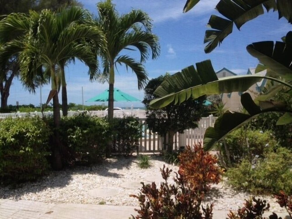 Coconuts Beach Resort - photo 120