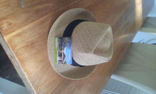 Zomerhuis De Zeedistel in Bergen, Netherlands