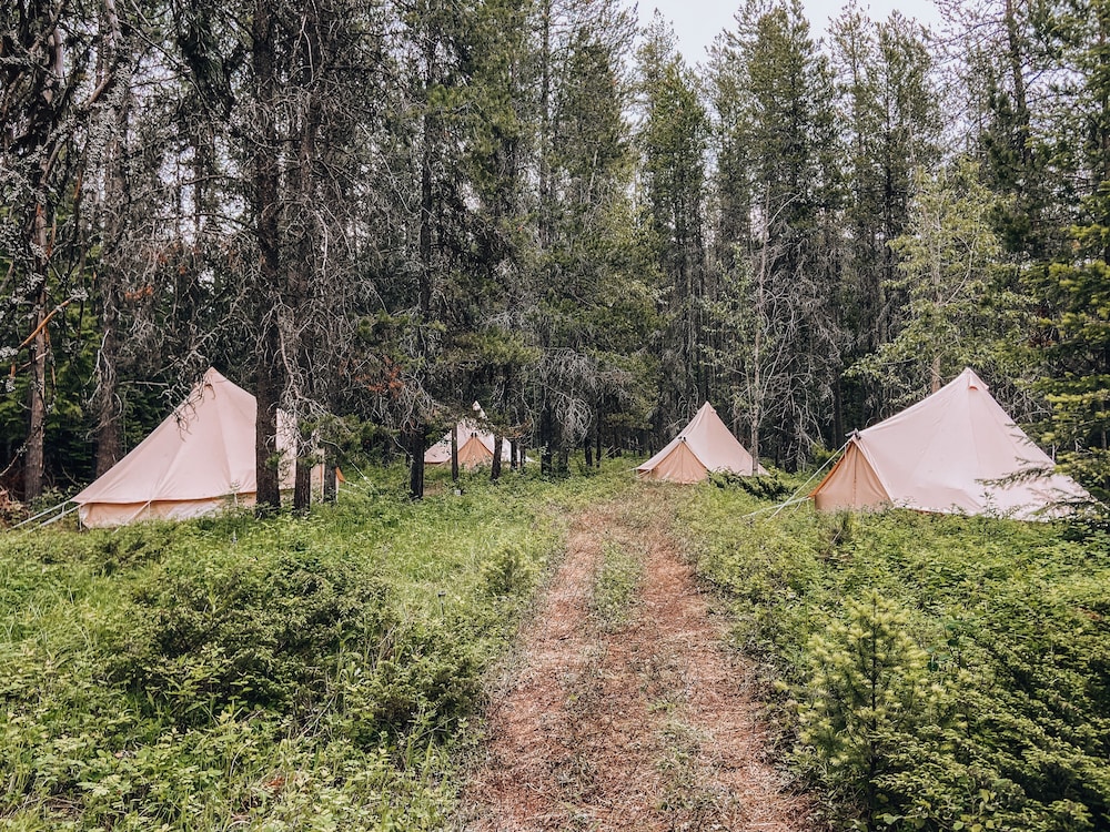 Wander Camp Glacier - photo 5