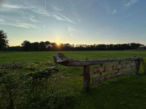 Bie Dieka in Unknown City, Netherlands