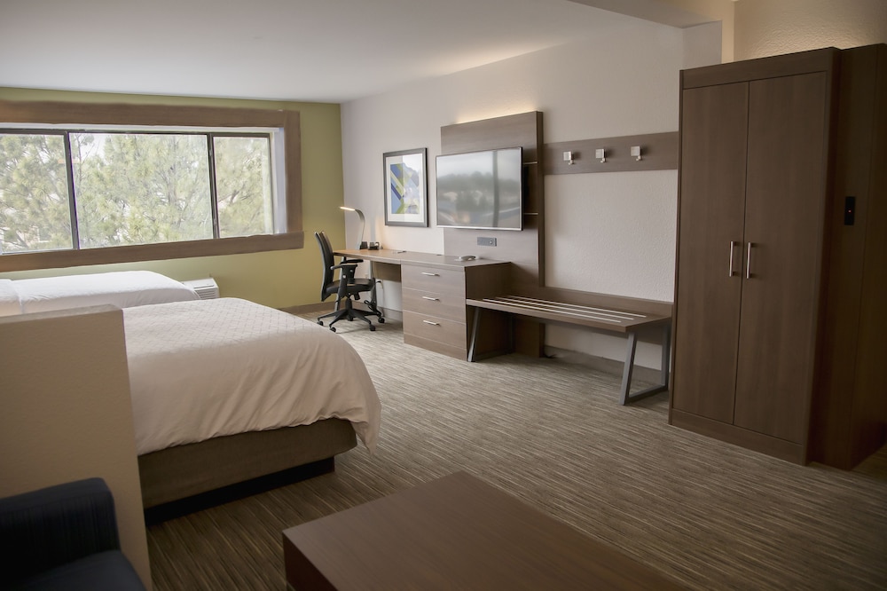 Holiday Inn Express & Suites Colorado Springs North by IHG - photo 3