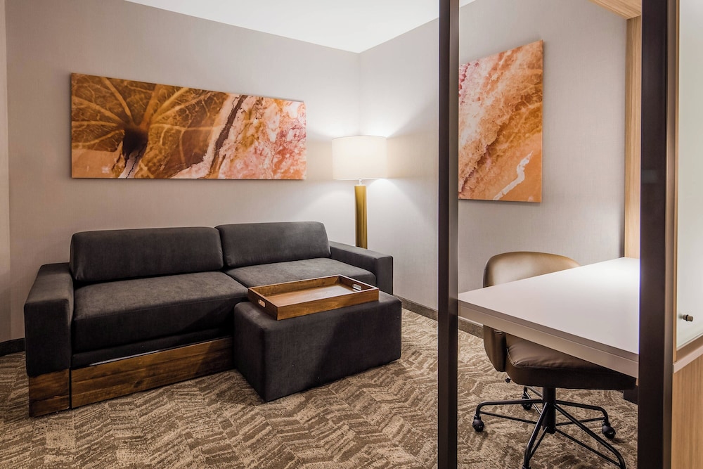 Springhill Suites by Marriott Chambersburg - photo 10
