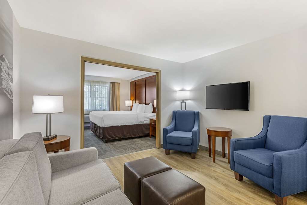Comfort Suites Golden West on Evergreen Parkway - photo 11