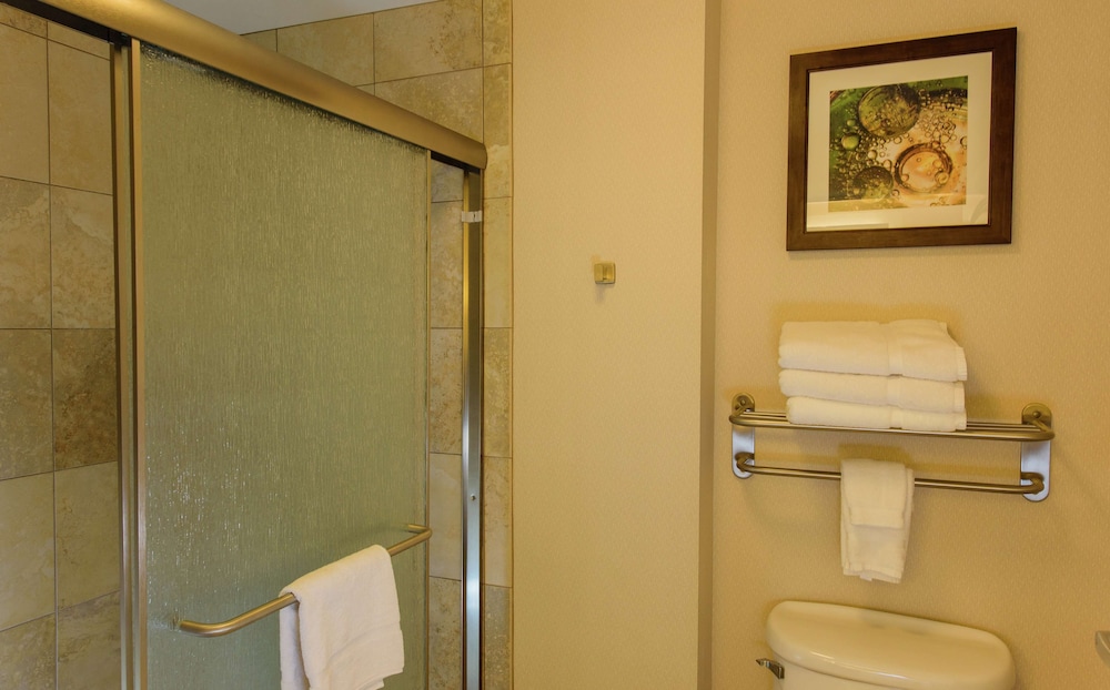 Homewood Suites by Hilton Phoenix Chandler Fashion Center - photo 24