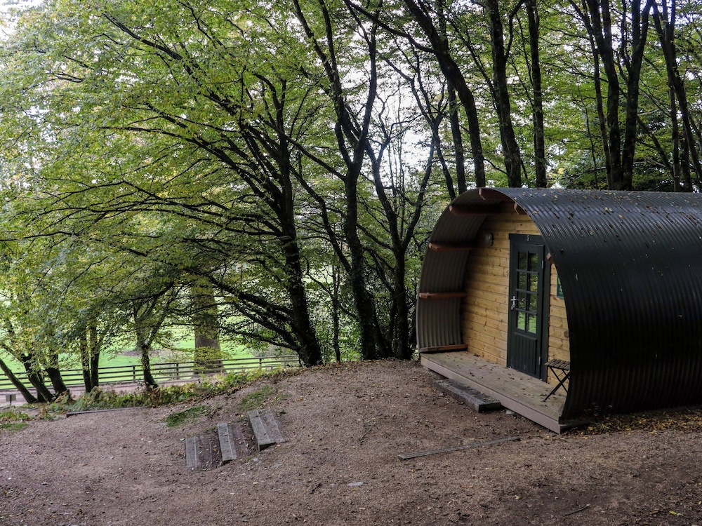 Ballybeg Pod 6