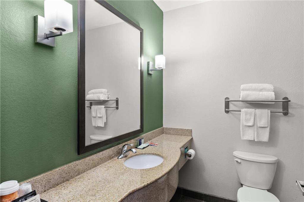 Sleep Inn & Suites Bush Intercontinental IAH East - photo 13