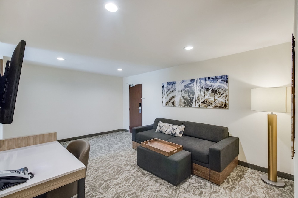 SpringHill Suites by Marriott Dallas NW Hwy I35E - photo 19