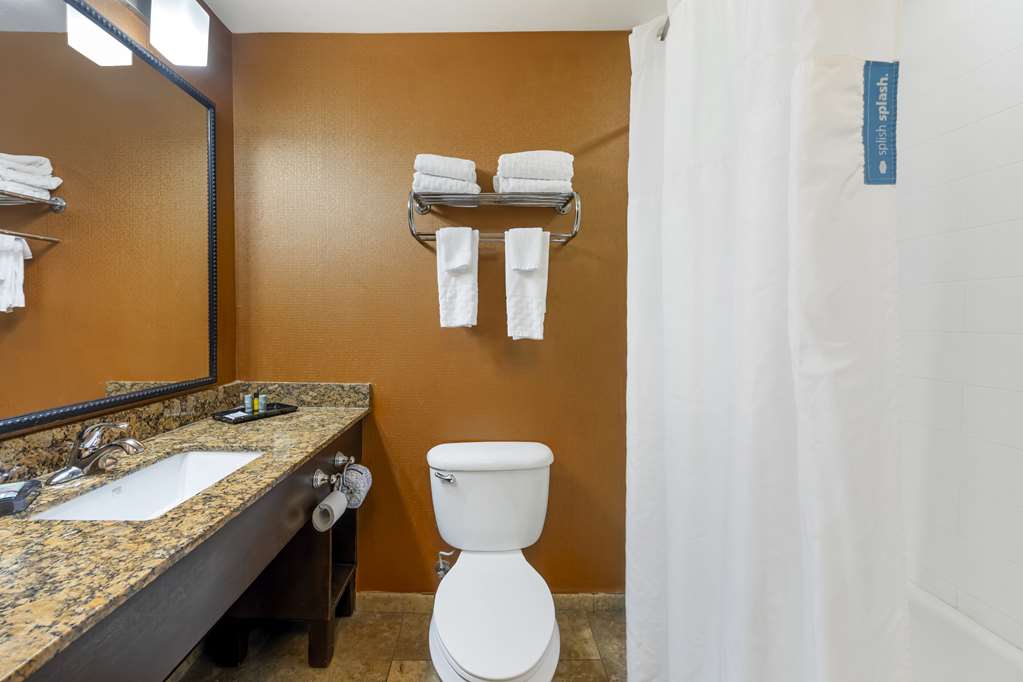 Best Western Plus Tupelo Inn & Suites - photo 23