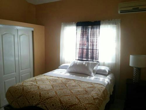 Caribbean Estate AJ in Portmore, Jamaica