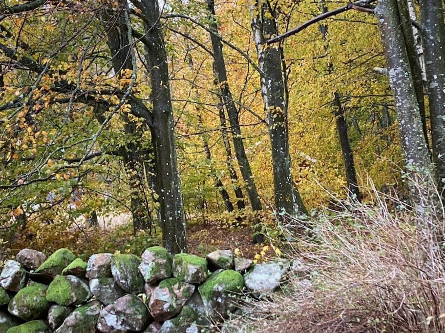 Sagolikt läge med havsutsikt i Rörum på Österlen in Simrishamn, Sweden