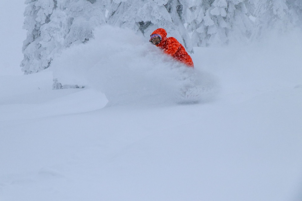 Meadow Lake Resort & Condos - photo 181