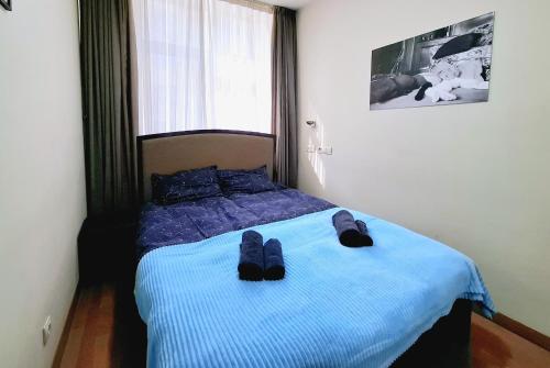 City Center 2BDR Apartment near Rustaveli Av