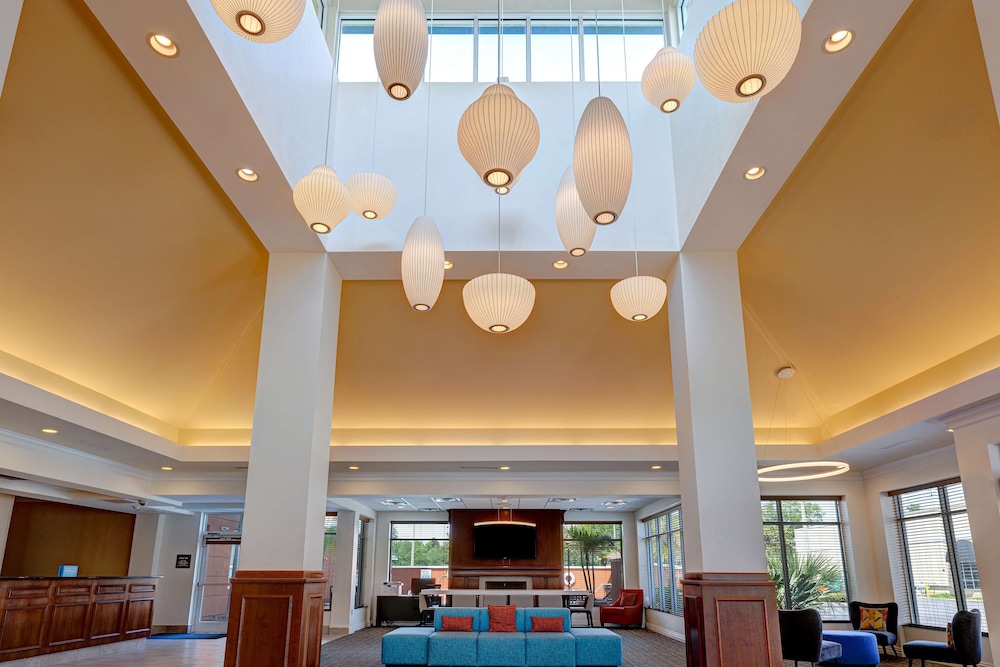 Hilton Garden Inn Tampa Northwest Oldsmar - photo 2