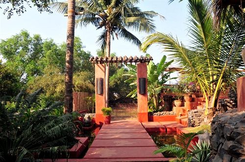 The Clematis. in Candolim, India