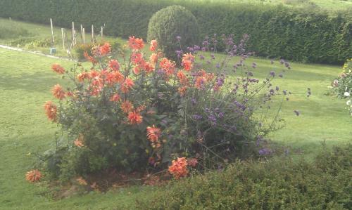 Le Paddock in Saint-Agnant-De-Versillat, France