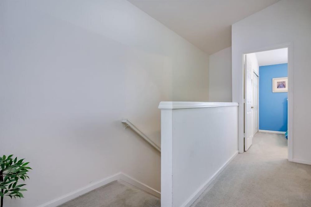 Windsor_palms_2323n - photo 8