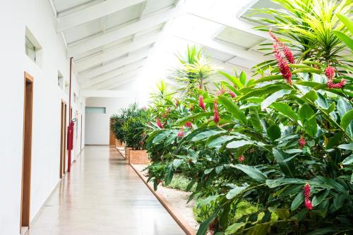 Hotel Vila Verde — Penapolis