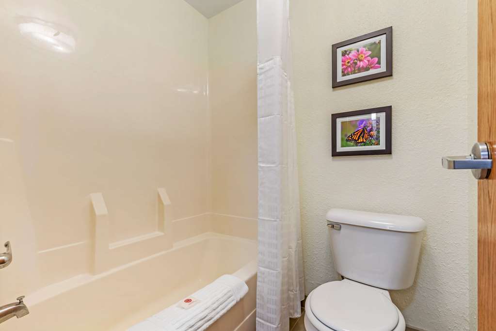 Comfort Inn & Suites Near Route 66 - photo 24