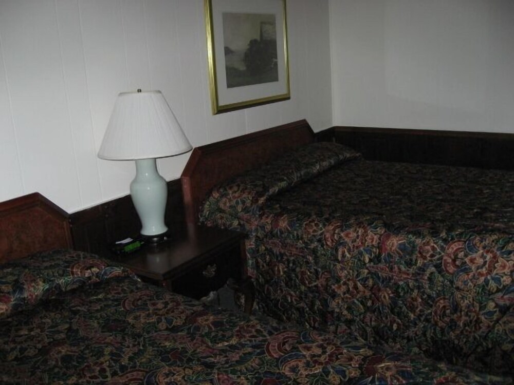 Sea Whale Motel - photo 6