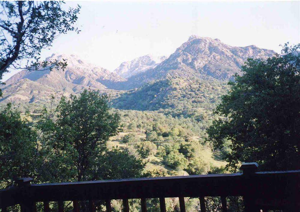 Bellevue Guesthouse - photo 11