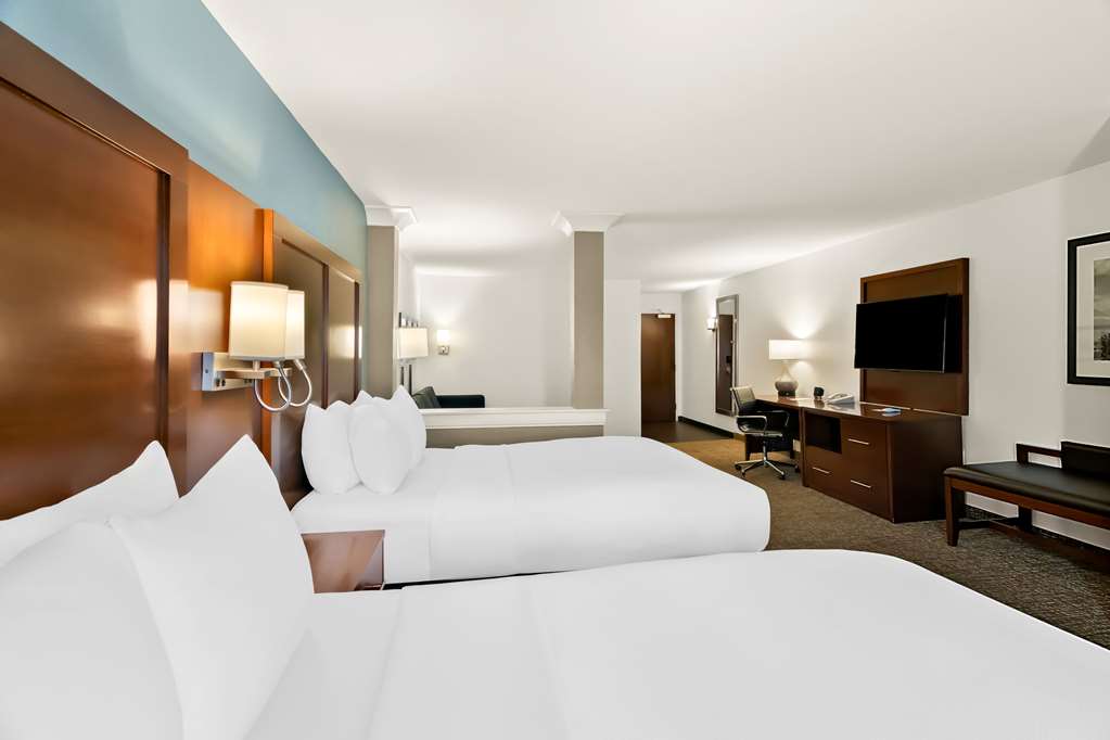 Comfort Suites Rensselaer near Fair Oaks - photo 33