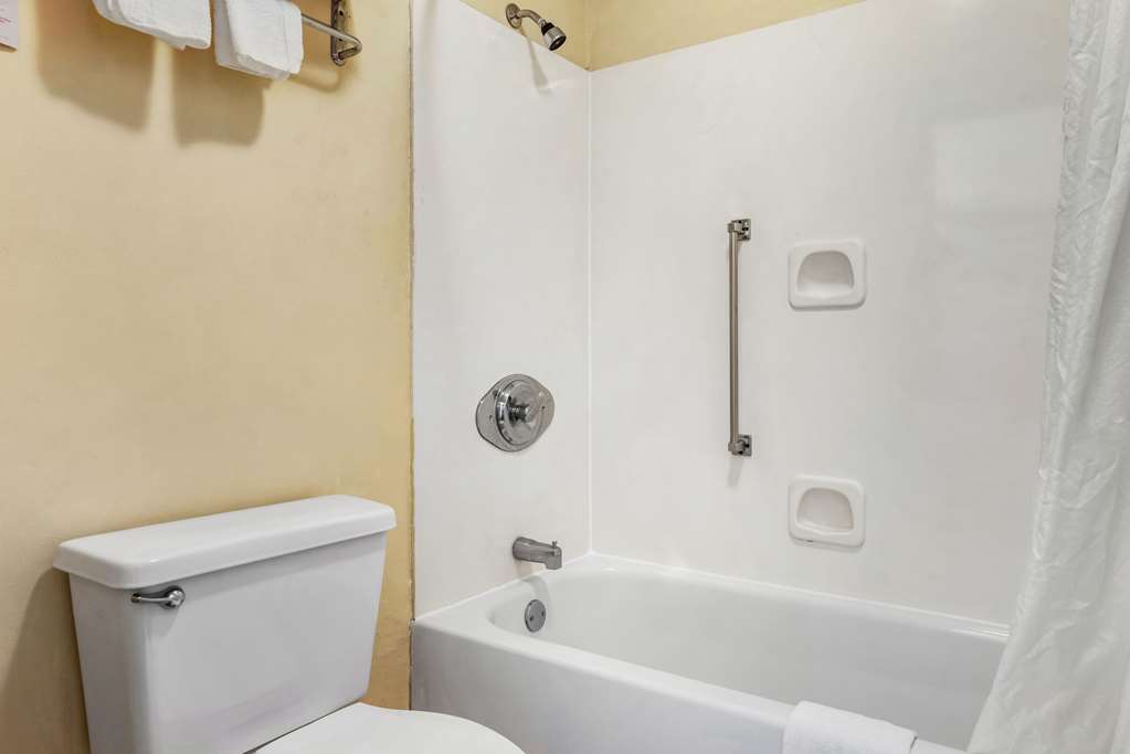 Econo Lodge Inn & Suites Forest - photo 13